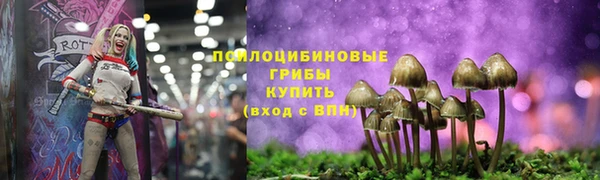мескалин Алексин