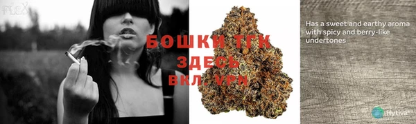 мет Арсеньев