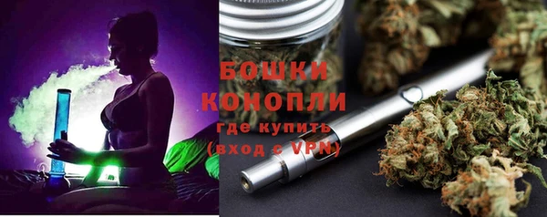 шишки Алексеевка